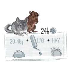 WITTE MOLEN PUUR 500g Chinchilla & Degu – Zbilansowany i Zdrowy Pokarm dla Szynszyli i Koszatniczek