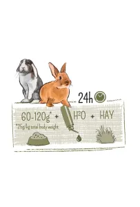 WITTE MOLEN PUUR 600g Rabbit – Zbilansowany i Naturalny Pokarm dla Dorosłych Królików