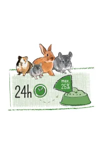 WITTE MOLEN PUUR 2,5kg Pauze Snack Muesli – Smakowity i Zbilansowany Przysmak dla Gryzoni