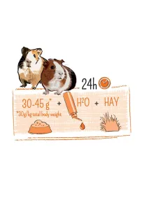 WITTE MOLEN PUUR 700g Guinea Pig – Zbilansowany Pokarm z Witaminą C dla Świnek Morskich