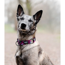CHABA Obroża regulowana Story III S Lakota