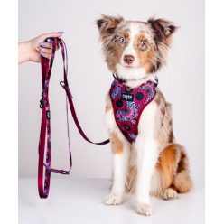 CHABA Smycz regulowana Story III M 20mm/260cm Lakota