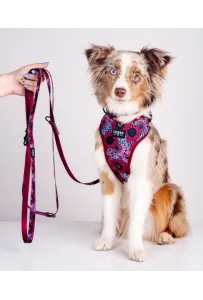 CHABA Smycz regulowana Story III S 16mm/260cm Lakota