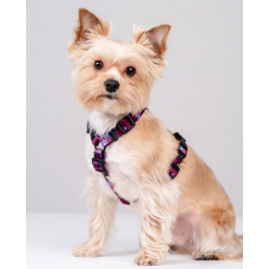 CHABA Szelki Guard Story III L 2,5cm Lakota