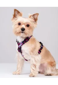 CHABA Szelki Guard Story III L 2,5cm Lakota