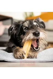 4DOGS Gryzak z sera himalajskiego Churpi Original M