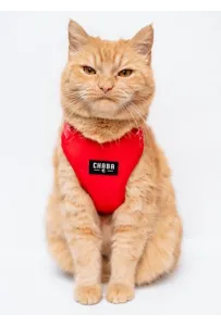 CHABA Szelki Guard Comfort Classic S czerwone