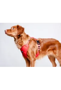 CHABA Szelki Guard Comfort Classic S czerwone