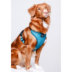 CHABA Szelki Guard Comfort Classic L morskie