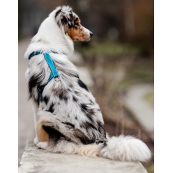 CHABA Szelki Guard Comfort Classic L morskie