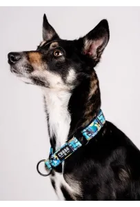 CHABA Obroża półzaciskowa Story III L Carnival