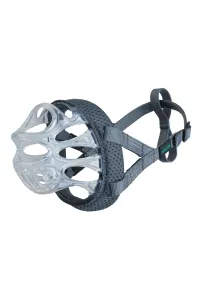 BASKERVILLE INVISA 1