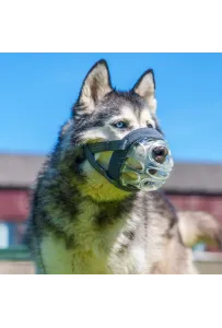 BASKERVILLE INVISA 4