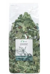 Tivo Zioła  Liść Porzeczki 100G     /36