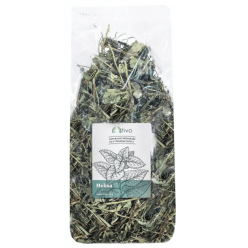 Tivo Zioła  Melisa 100G     /36