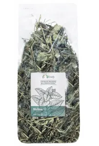 Tivo Zioła  Melisa 100G     /36