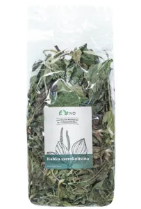 Tivo Zioła  Babka Szerokolistna 100G         /36