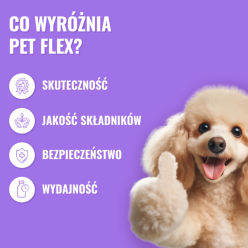 Pets Pet Flex 500Ml Na Stawy Dla Psów I   Kotów