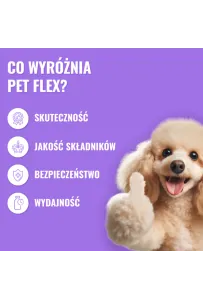 Pets Pet Flex 500Ml Na Stawy Dla Psów I   Kotów