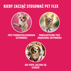 Pets Pet Flex 500Ml Na Stawy Dla Psów I   Kotów
