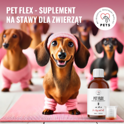 Pets Pet Flex 500Ml Na Stawy Dla Psów I   Kotów
