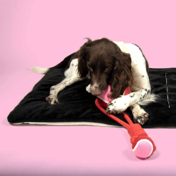 Coockoo SWING ME – Piłka tenisowa na sznurku dla psa do aportowania