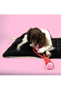 Coockoo SWING ME – Piłka tenisowa na sznurku dla psa do aportowania