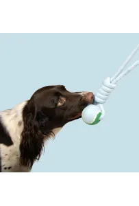 Coockoo CATCH ME – Piłka tenisowa na sznurku do aportowania dla psa