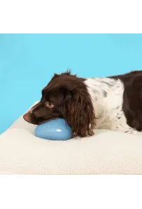 Coockoo Happy Cloud – Zabawka dla psa z piszczałką, wytrzymały TPR