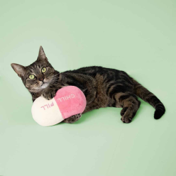 Coockoo Chill Pill – Poduszka Kick dla Kota z Kocimiętką 16x7x9 cm