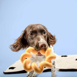 Coockoo Sunny – Wytrzymała Zabawka dla Psa z TPR 16,5x4,5 cm (Żółta)