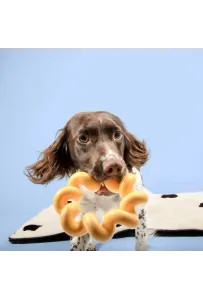 Coockoo Sunny – Wytrzymała Zabawka dla Psa z TPR 16,5x4,5 cm (Żółta)