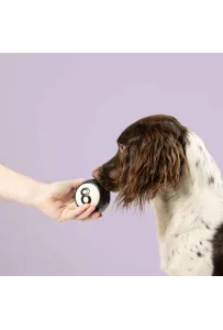 Coockoo Snackball Eight – Gumowa Piłka na Przysmaki dla Psa 8 cm