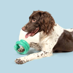 Coockoo Wiggle – Wytrzymała Zabawka dla Psa z TPR 12x11,7 cm (Zielona)