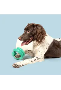 Coockoo Wiggle – Wytrzymała Zabawka dla Psa z TPR 12x11,7 cm (Zielona)