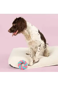 Coockoo Mallow Ring – Gumowa Zabawka dla Psa 11x11x4 cm (Różowo-Niebieska)