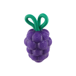 OH DENTAL GRAPES - WINOGRONA