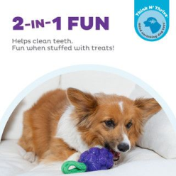Outward Hound Dental Grapes – Zabawka dla Psa Czyszcząca Zęby (Fioletowa, 16 cm)
