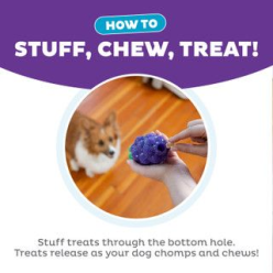 Outward Hound Dental Grapes – Zabawka dla Psa Czyszcząca Zęby (Fioletowa, 16 cm)