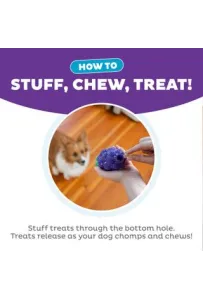 Outward Hound Dental Grapes – Zabawka dla Psa Czyszcząca Zęby (Fioletowa, 16 cm)