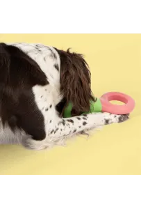 Coockoo Doodle Zielono-Różowa – Wytrzymała Gumowa Zabawka dla Psa 23 cm