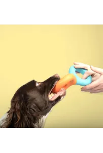 Coockoo Zabawka Gumowa Doodle Niebiesko/Pomarańczowa dla Psa 23x10,5x3 cm