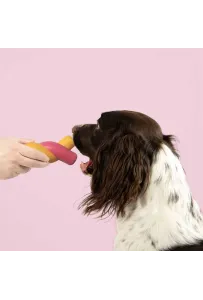 Coockoo Zabawka dla Psa Gumowa Supeł Twisted S'Mores – 23 cm