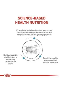 Royal Canin Veterinary Diet Canine Anallergenic Small 3kg