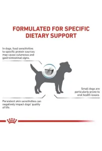 Royal Canin Veterinary Diet Canine Anallergenic Small 1,5kg