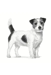 Royal Canin Veterinary Diet Canine Anallergenic Small 1,5kg