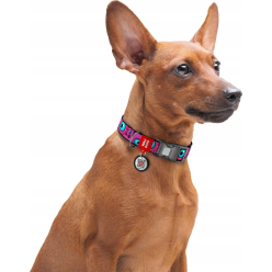 Wau Dog Obroża QR 20mm/28-40cm Monster Eye – Styl i Bezpieczeństwo