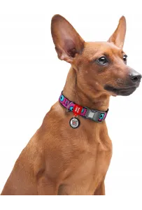 Wau Dog Obroża QR 20mm/28-40cm Monster Eye – Styl i Bezpieczeństwo