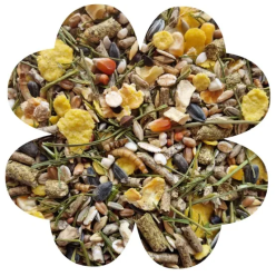 Alegia Enjoy Chomik 800G