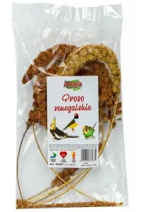 Alegia Proso Senegalskie 80G